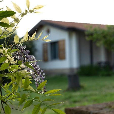 B&B La Figuretta Iesi Exteriér fotografie