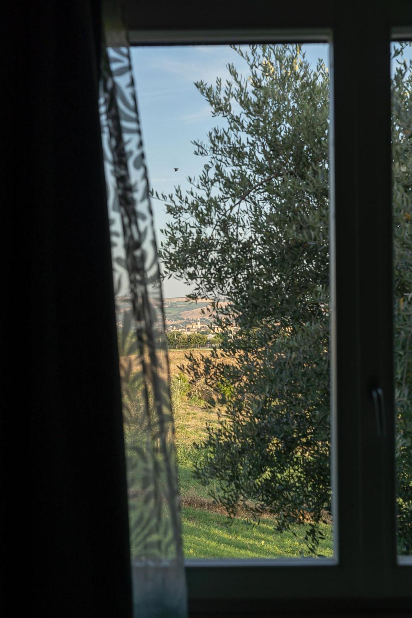 B&B La Figuretta Iesi Exteriér fotografie
