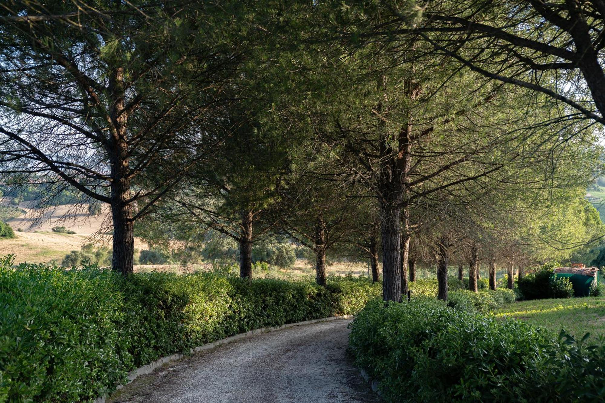 B&B La Figuretta Iesi Exteriér fotografie